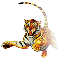 Tiger Two